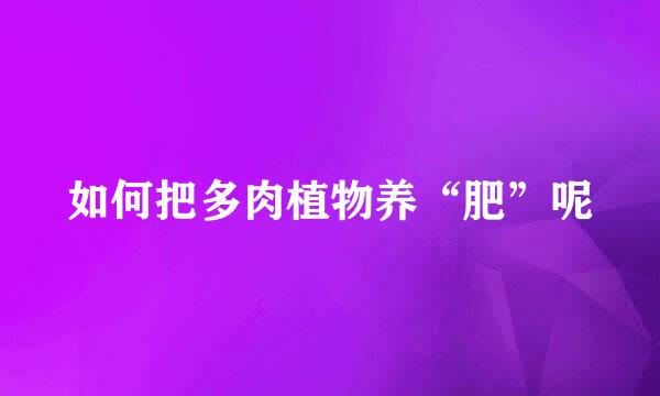 如何把多肉植物养“肥”呢