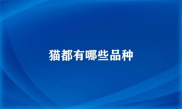 猫都有哪些品种