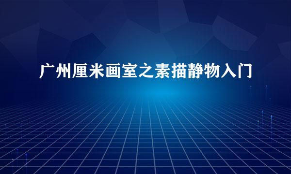 广州厘米画室之素描静物入门