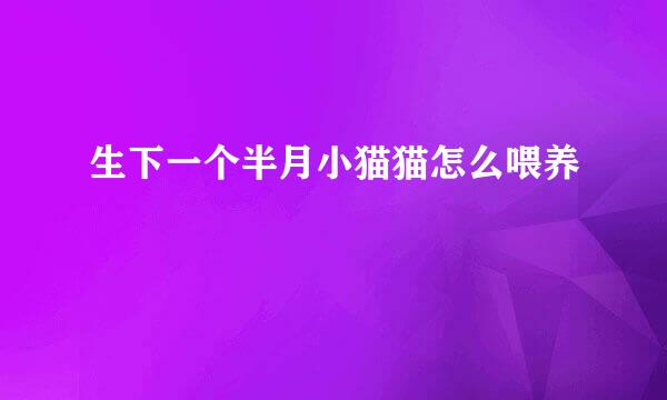 生下一个半月小猫猫怎么喂养