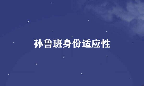 孙鲁班身份适应性