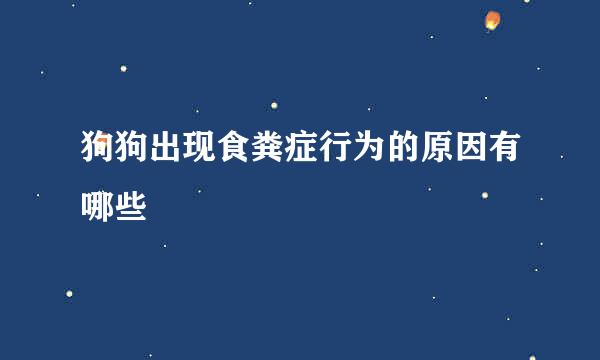 狗狗出现食粪症行为的原因有哪些
