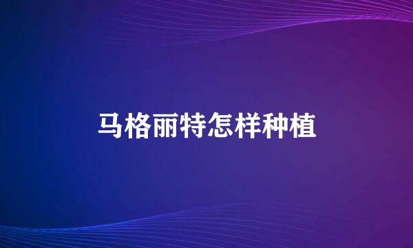 马格丽特怎样种植