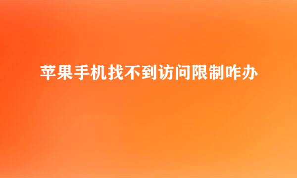 苹果手机找不到访问限制咋办