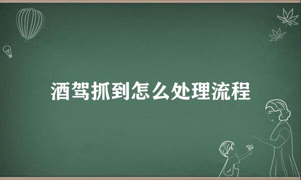 酒驾抓到怎么处理流程