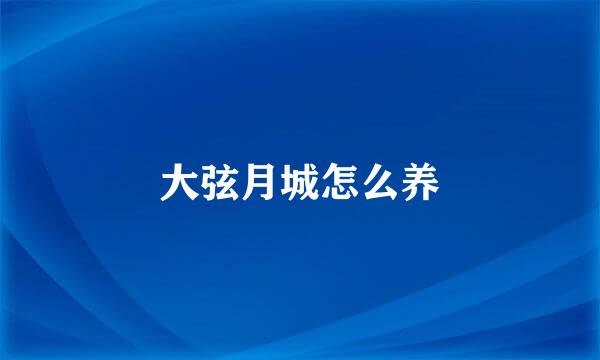 大弦月城怎么养