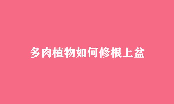 多肉植物如何修根上盆