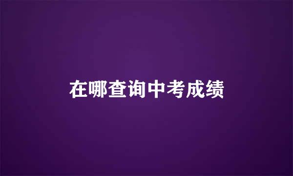 在哪查询中考成绩