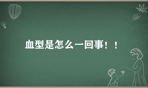 血型是怎么一回事！！