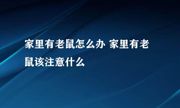 家里有老鼠怎么办 家里有老鼠该注意什么