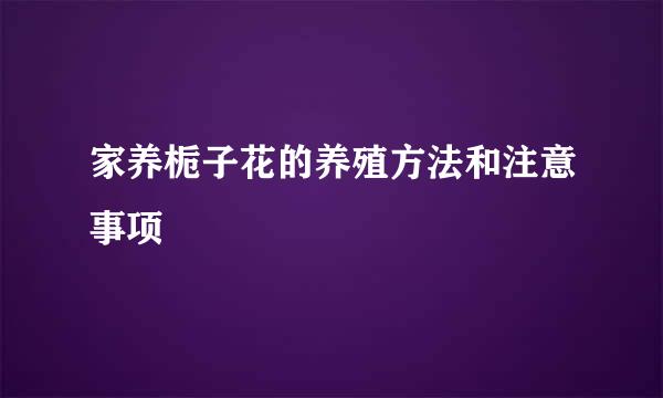 家养栀子花的养殖方法和注意事项