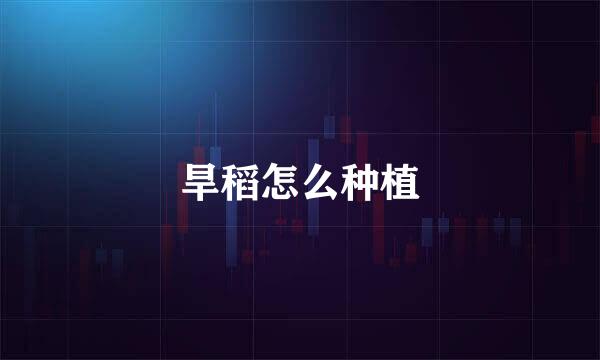 旱稻怎么种植
