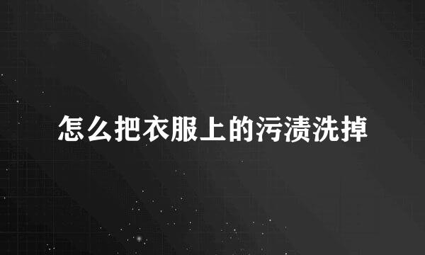 怎么把衣服上的污渍洗掉