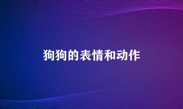 狗狗的表情和动作