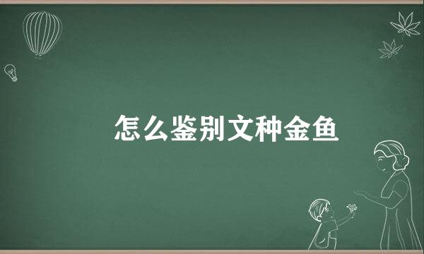 ​怎么鉴别文种金鱼