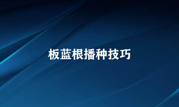 板蓝根播种技巧