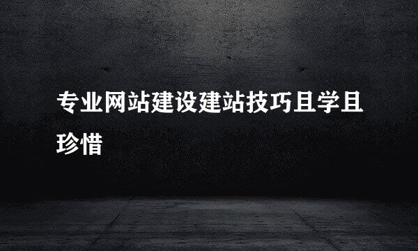 专业网站建设建站技巧且学且珍惜