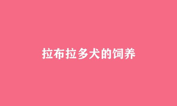 拉布拉多犬的饲养