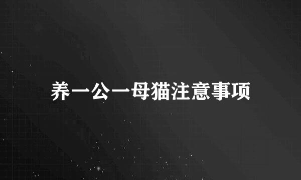 养一公一母猫注意事项