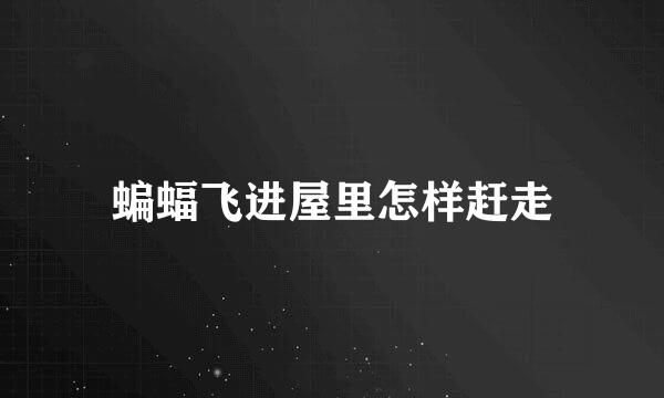 蝙蝠飞进屋里怎样赶走