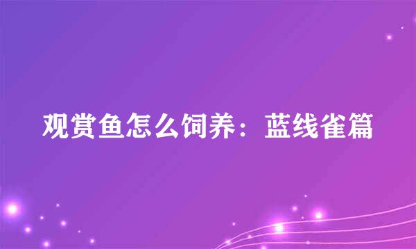 观赏鱼怎么饲养：蓝线雀篇