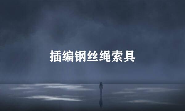 插编钢丝绳索具