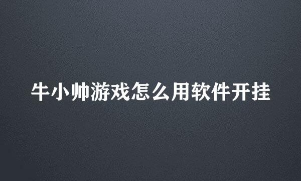 牛小帅游戏怎么用软件开挂