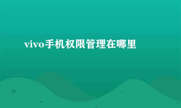 vivo手机权限管理在哪里