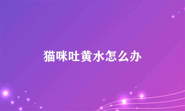 猫咪吐黄水怎么办