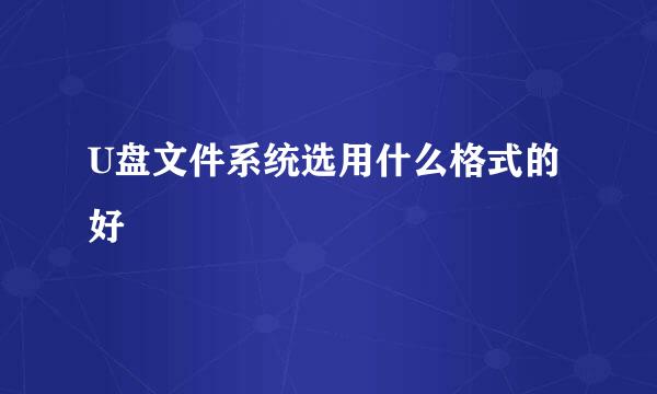 U盘文件系统选用什么格式的好