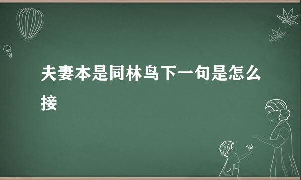 夫妻本是同林鸟下一句是怎么接