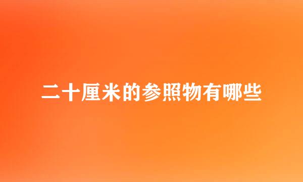 二十厘米的参照物有哪些