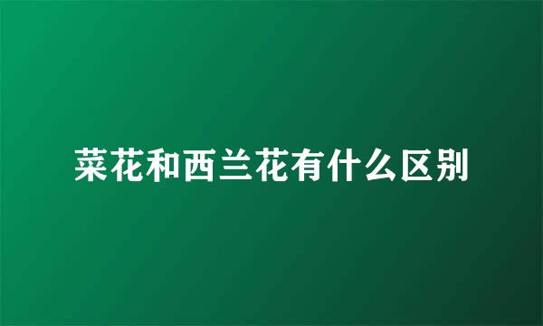 菜花和西兰花有什么区别