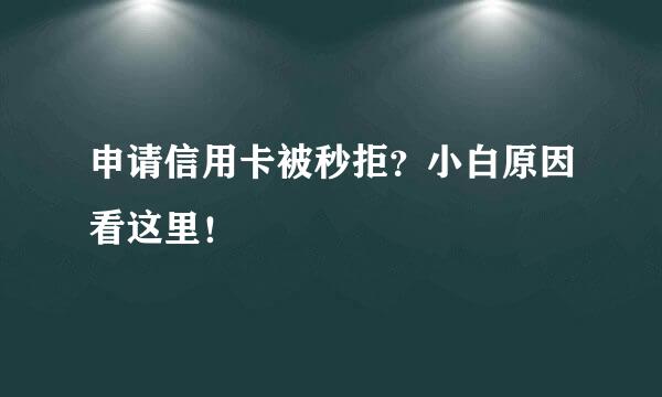 申请信用卡被秒拒？小白原因看这里！
