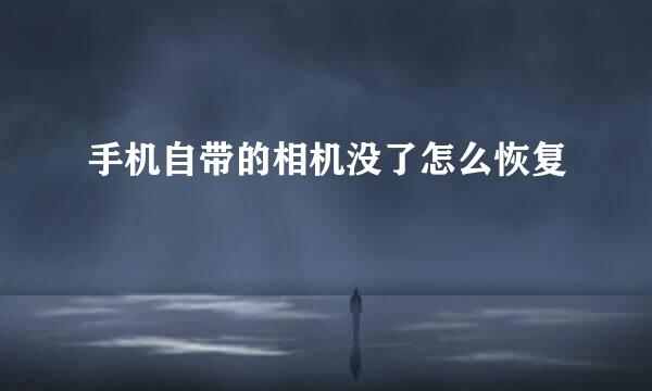 手机自带的相机没了怎么恢复