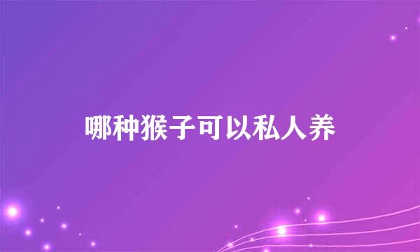 哪种猴子可以私人养