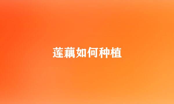 莲藕如何种植