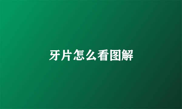 牙片怎么看图解