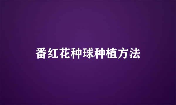 番红花种球种植方法