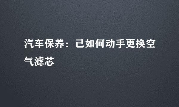 汽车保养：己如何动手更换空气滤芯
