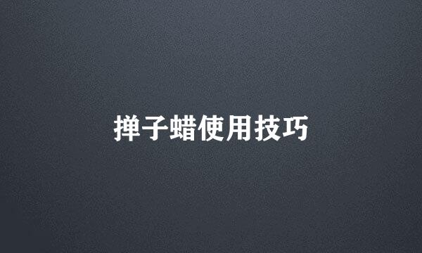 掸子蜡使用技巧