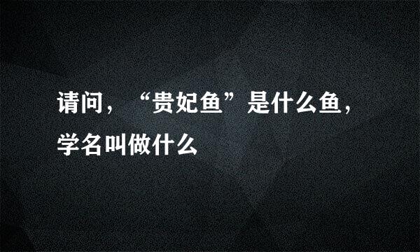 请问，“贵妃鱼”是什么鱼，学名叫做什么