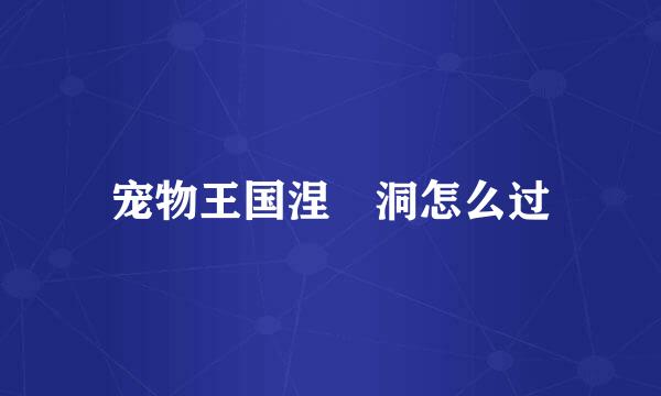 宠物王国涅槃洞怎么过