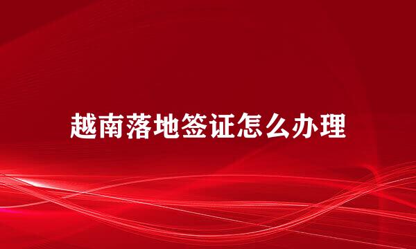 越南落地签证怎么办理