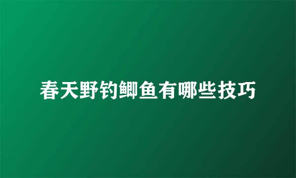 春天野钓鲫鱼有哪些技巧
