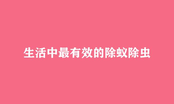 生活中最有效的除蚁除虫