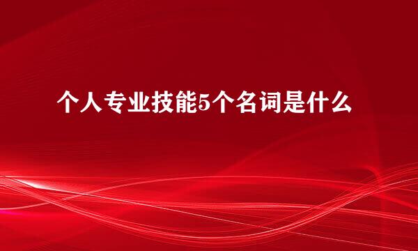 个人专业技能5个名词是什么