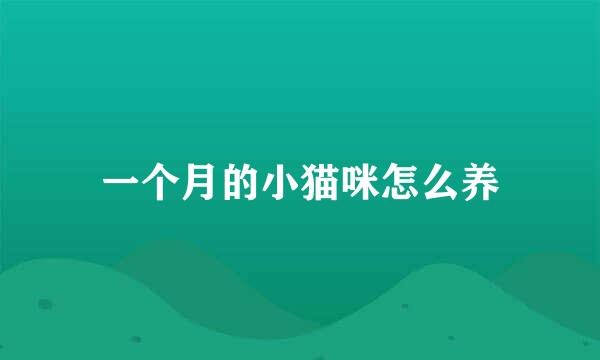 一个月的小猫咪怎么养