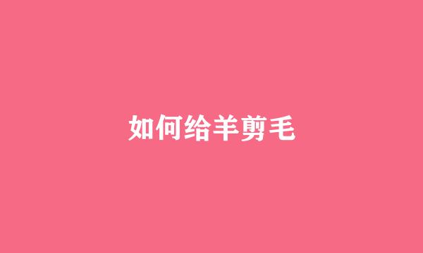 如何给羊剪毛
