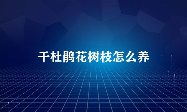 干杜鹃花树枝怎么养